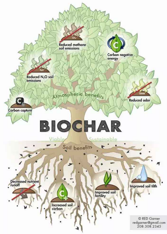 Funciones del Biochar